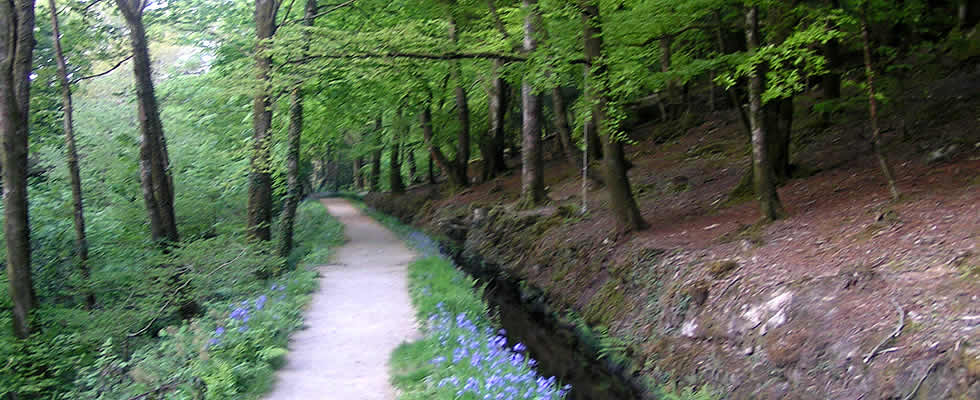 Luxulyan on the moor offers walkers miles of open moorland to explore with stunning granite tors