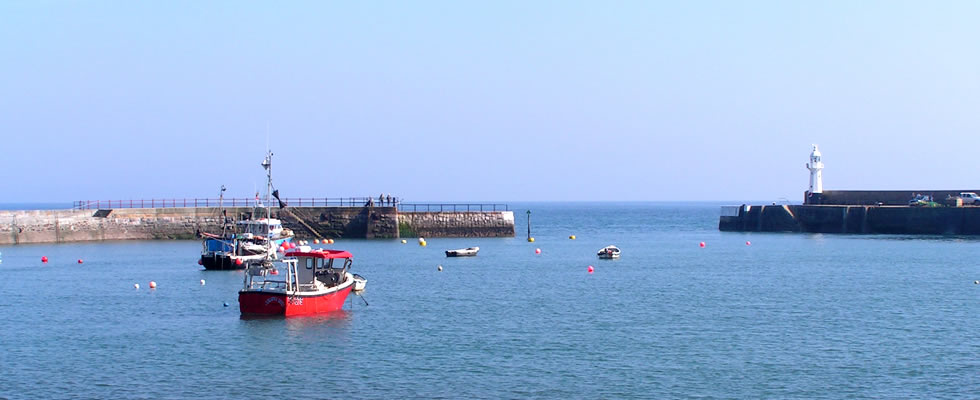 Views over Mevagissey harbour